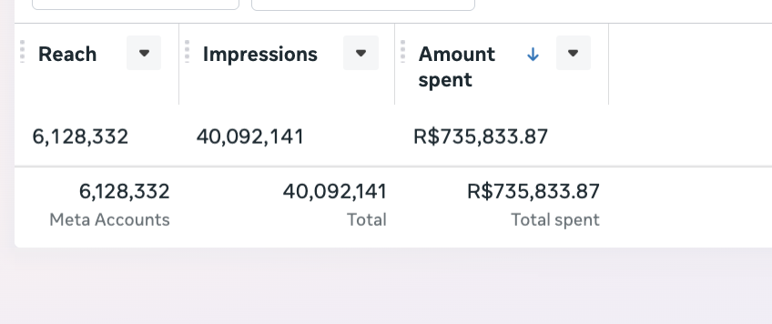 Print Meta Ads: R$735.833,87 investidos em 12 meses gerando consultas na harmonização facial